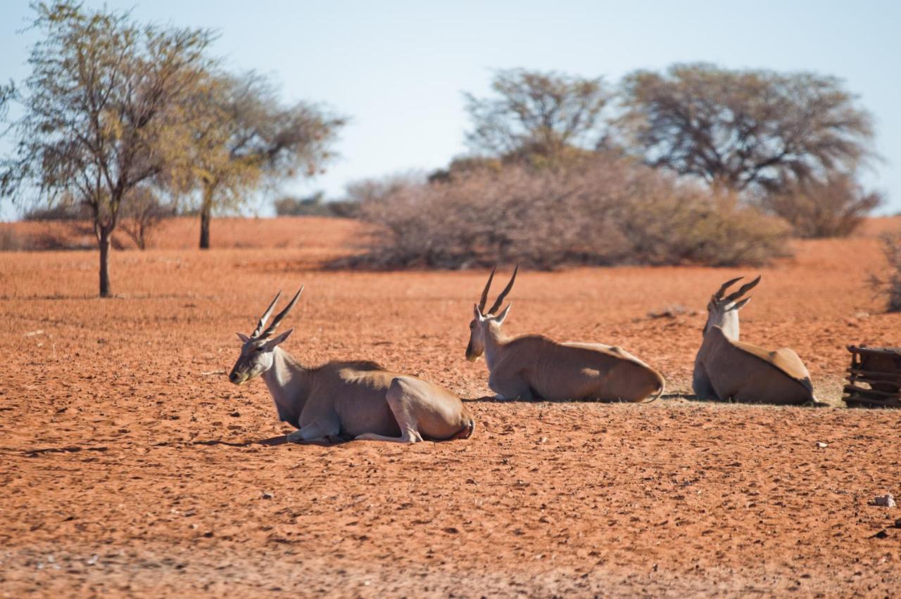 Kalahari Anib Campsite Hardap エクステリア 写真